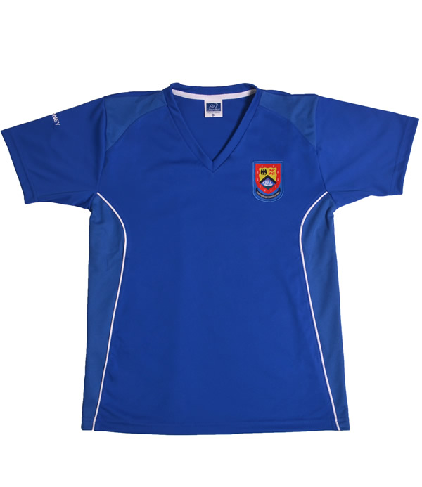 Uniforme Colegio Anglo Colombiano T-Shirt Rodney Azul Cuello V niño